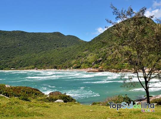 praia-matadeiro-florianopolis-sc-top-sul-da-ilha